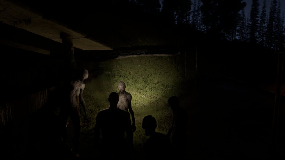 In the dark the Sleepless stand still, even within arm's reach of the flashlight.